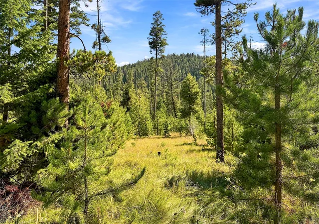 Photo 3 of Land for sale at Lot 14 Georgetown Lake Ests, Philipsburg, MT 59858 | MLS# 30078709 | Listing updated on 2026-10-05