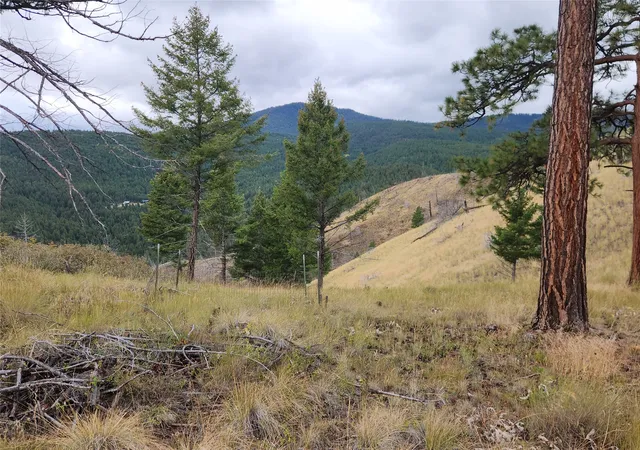 Photo 1 of Land for sale at 250 Felan Gulch Rd, Drummond, MT 59832 | MLS# 30078352 | Listing updated on 2026-09-23