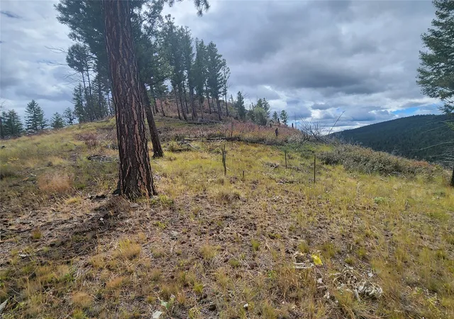 Photo 3 of Land for sale at 250 Felan Gulch Rd, Drummond, MT 59832 | MLS# 30078352 | Listing updated on 2026-09-23