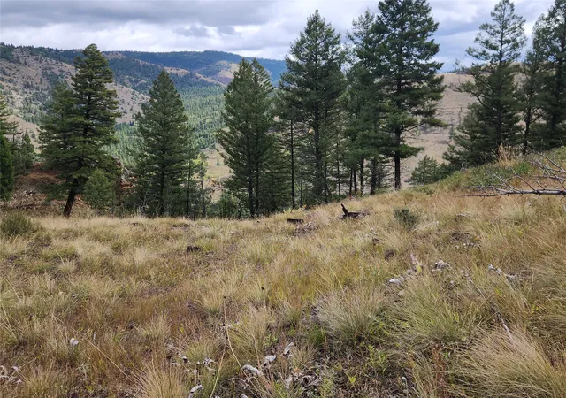 Photo 4 of Land for sale at 250 Felan Gulch Rd, Drummond, MT 59832 | MLS# 30078352 | Listing updated on 2026-09-23