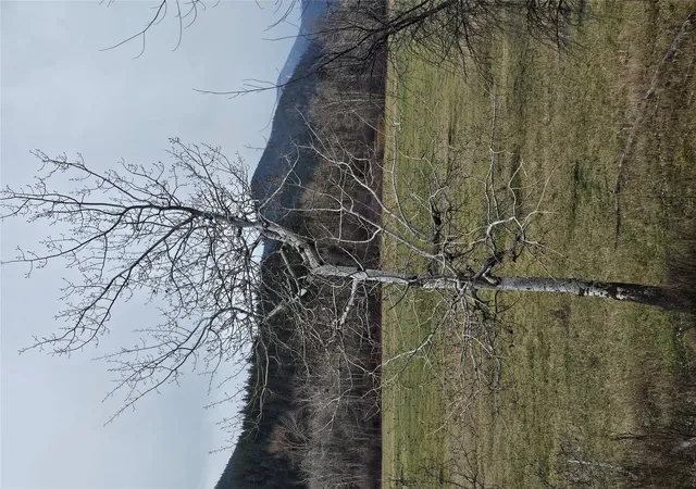 Photo 4 of Land for sale at Nhn Stitt Ln #A&B, Clinton, MT 59825 | MLS# 30078832 | Listing updated on 2026-09-23