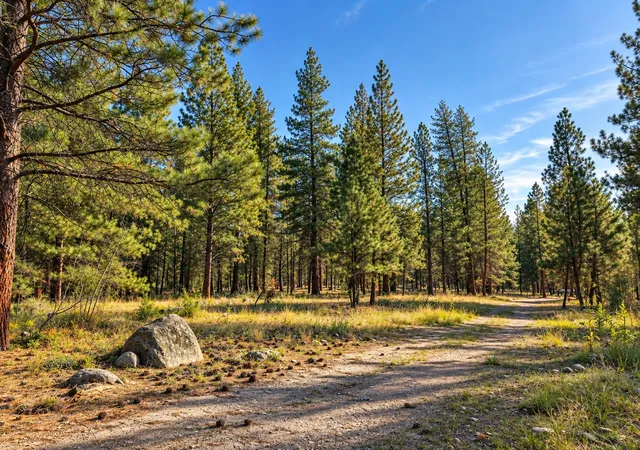 Photo 1 of Land for sale at Nhn Holloway Ln, Florence, MT 59833 | MLS# 30078822 | Listing updated on 2026-09-23