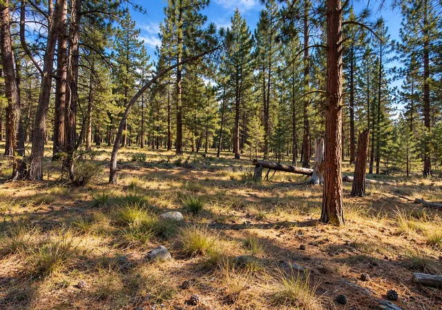 Photo 3 of Land for sale at Nhn Holloway Ln, Florence, MT 59833 | MLS# 30078822 | Listing updated on 2026-09-23