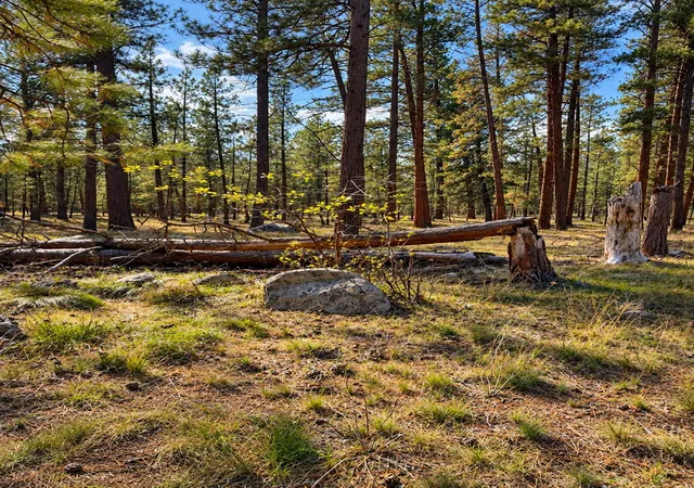 Photo 4 of Land for sale at Nhn Holloway Ln, Florence, MT 59833 | MLS# 30078822 | Listing updated on 2026-09-23