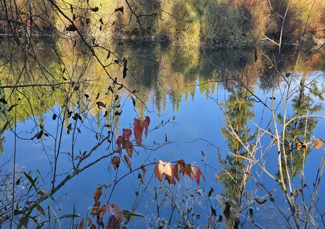 Photo 1 of Land for sale at 1057 Tamarack Ln, Troy, MT 59935 | MLS# 30079487 | Listing updated on 2026-10-18