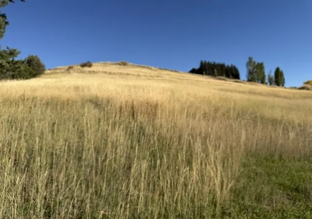 Photo 2 of Land for sale at Nhn Buena Vista Ln, Polson, MT 59860 | MLS# 30080006 | Listing updated on 2026-10-19