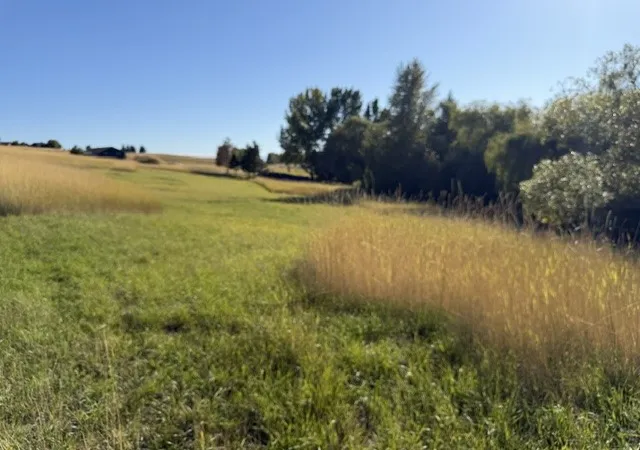 Photo 4 of Land for sale at Nhn Buena Vista Ln, Polson, MT 59860 | MLS# 30080006 | Listing updated on 2026-10-19