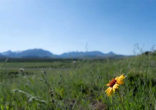 Photo 2 of Single family home for sale at 941 US Hwy 89, Browning, MT 59417 | MLS# 30079855 | Listing updated on 2026-10-20