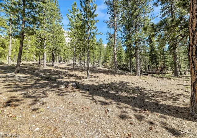 Photo 3 of Land for sale at Lee Canyon Road, Las Vegas, NV 89124 | MLS# 2587083 | Listing updated on 2026-09-10