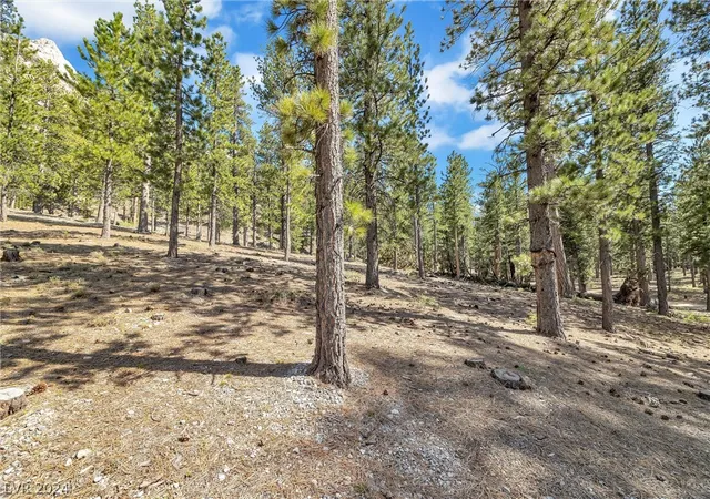 Photo 4 of Land for sale at Lee Canyon Road, Las Vegas, NV 89124 | MLS# 2587083 | Listing updated on 2026-09-10