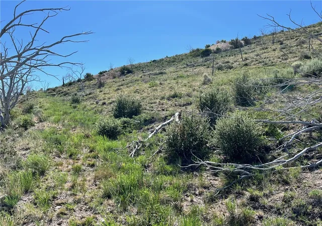 Photo 2 of Land for sale at Cyn Peak, Pioche, NV 89043 | MLS# 2726920 | Listing updated on 2026-10-05