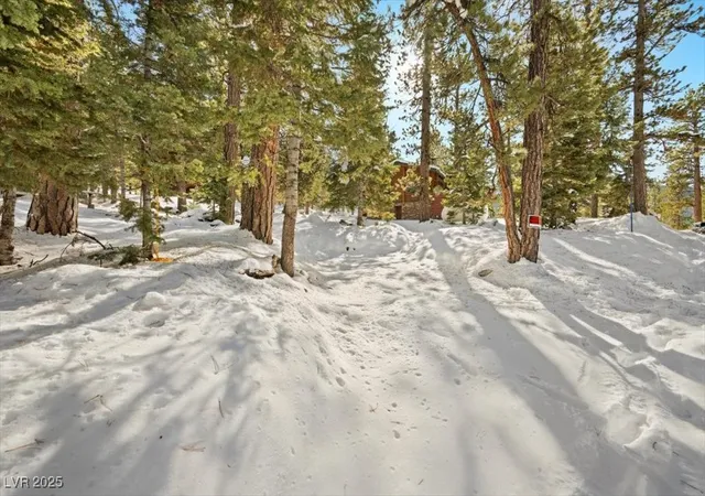 Photo 4 of Land for sale at 2130 Via Vita St, Las Vegas, NV 89124 | MLS# 2738034 | Listing updated on 2026-09-10