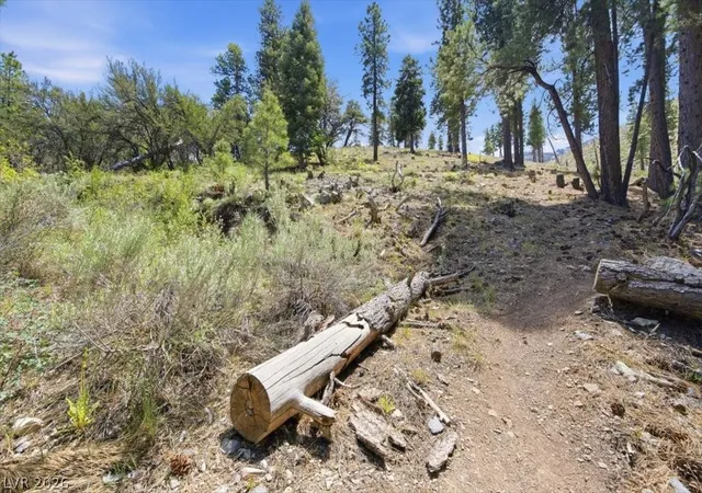 Photo 4 of Land for sale at 3953 Ski Trl Cir, Las Vegas, NV 89124 | MLS# 2761580 | Listing updated on 2026-09-10