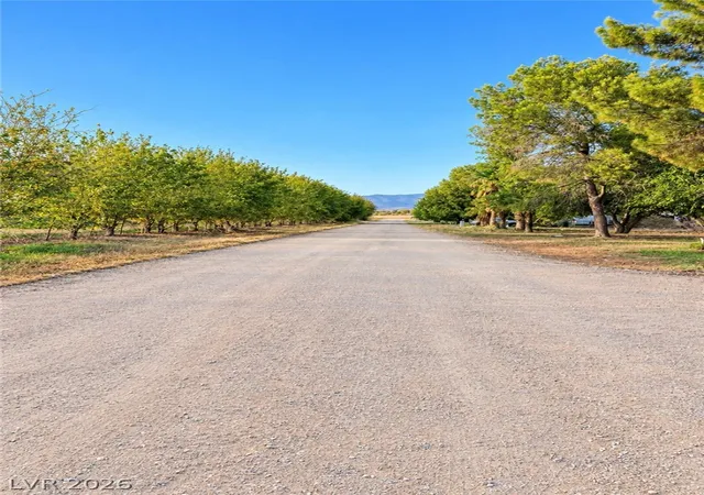 Photo 13 of Single family home for sale at 2710 Mateuse St, Logandale, NV 89021 | MLS# 2816322 | Listing updated on 2026-09-10