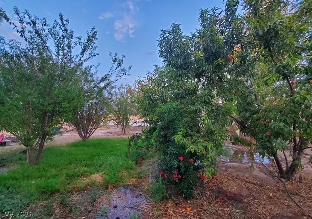 Photo 22 of Manufactured home for sale at 980 W Leffner Dr, Pahrump, NV 89060 | MLS# 2816319 | Listing updated on 2026-09-11