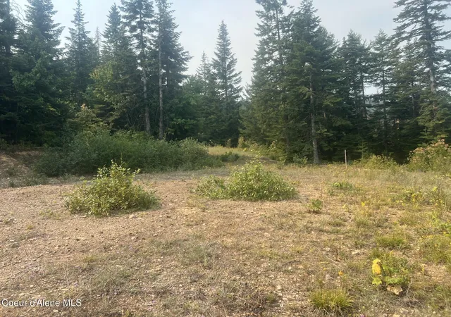 Photo 17 of Land for sale at 83 Wildflower Rd, St. Maries, ID 83861 | MLS# 26-6889 | Listing updated on 2026-09-08