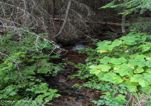 Photo 11 of Land for sale at Nna 2002a Daisy Gulch Rd, Mullan, ID 83846 | MLS# 26-8327 | Listing updated on 2026-09-01