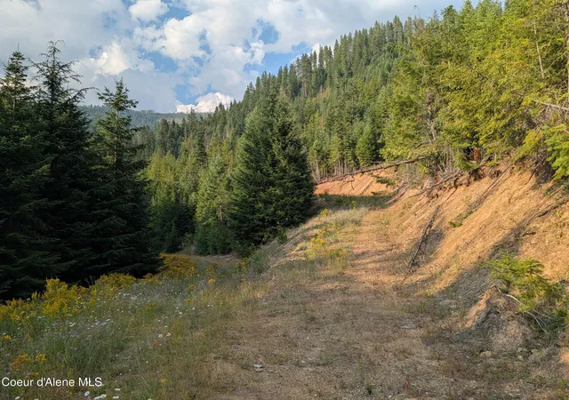 Photo 1 of Land for sale at Nna 2002a Daisy Gulch Rd, Mullan, ID 83846 | MLS# 26-8327 | Listing updated on 2026-09-01