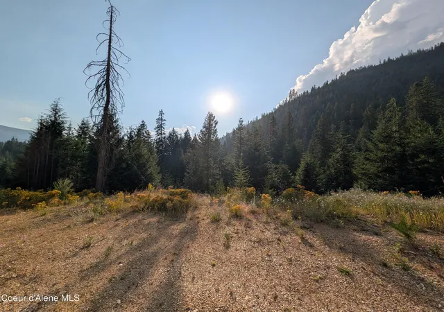 Photo 3 of Land for sale at Nna 2002a Daisy Gulch Rd, Mullan, ID 83846 | MLS# 26-8327 | Listing updated on 2026-09-29