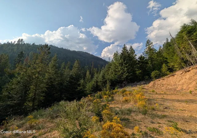 Photo 3 of Land for sale at Nna 2002a Daisy Gulch Rd, Mullan, ID 83846 | MLS# 26-8327 | Listing updated on 2026-09-29