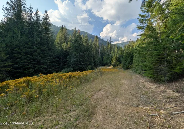 Photo 4 of Land for sale at Nna 2002a Daisy Gulch Rd, Mullan, ID 83846 | MLS# 26-8327 | Listing updated on 2026-09-29