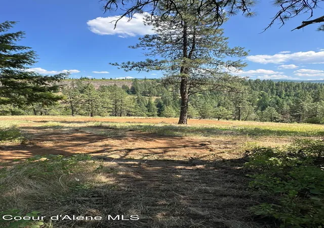 Photo 3 of Land for sale at 158 Glacier Dr, Saint Maries, ID 83861 | MLS# 26-9352 | Listing updated on 2026-09-12