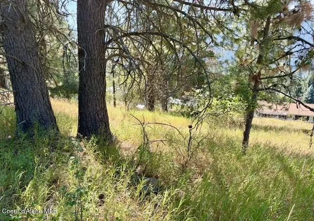 Photo 4 of Land for sale at Lot 9 Nka Upper Dr, Osburn, ID 83849 | MLS# 26-8936 | Listing updated on 2026-09-01