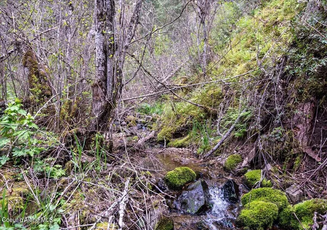 Photo 3 of Land for sale at Nna N Corbin Hl Rd, Hayden, ID 83835 | MLS# 26-8951 | Listing updated on 2026-09-01
