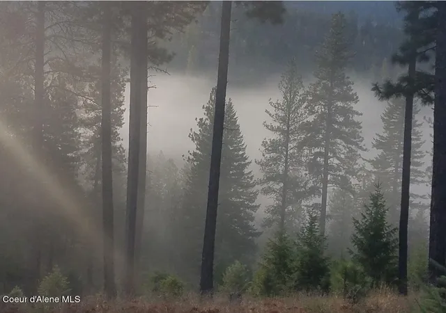 Photo 1 of Land for sale at Nna Hoo Doo Loop Rd, Oldtown, ID 83822 | MLS# 26-8968 | Listing updated on 2026-09-03