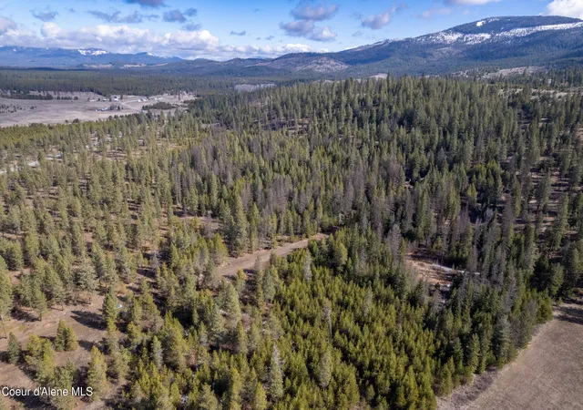 Photo 4 of Land for sale at Nna Hoo Doo Loop Rd, Oldtown, ID 83822 | MLS# 26-8968 | Listing updated on 2026-09-03