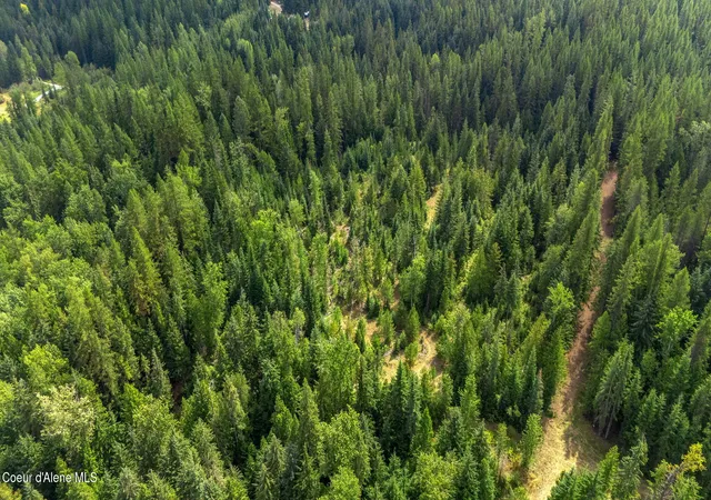 Photo 3 of Land for sale at 435 Nowhere Rd, Priest River, ID 83856 | MLS# 26-9035 | Listing updated on 2026-09-03