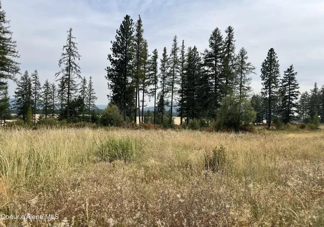 Photo 2 of Land for sale at 612 Freedom Way N Parcel, Plummer, ID 83851 | MLS# 26-9037 | Listing updated on 2026-09-03