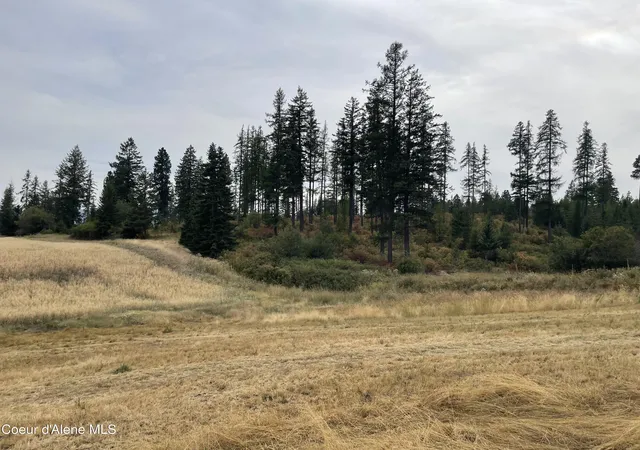 Photo 3 of Land for sale at 612 Freedom Way N Parcel, Plummer, ID 83851 | MLS# 26-9037 | Listing updated on 2026-09-03