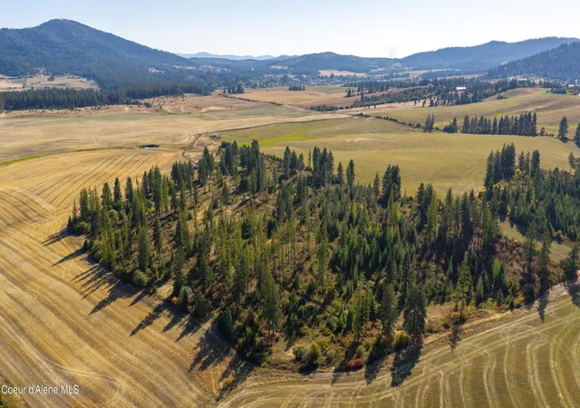 Photo 4 of Land for sale at 612 Freedom Way N Parcel, Plummer, ID 83851 | MLS# 26-9037 | Listing updated on 2026-09-21