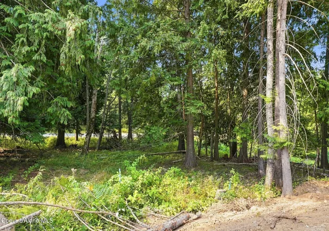 Photo 4 of Single family home for sale at S21 Timber Grv, Sandpoint, ID 83864 | MLS# 26-9077 | Listing updated on 2026-09-03