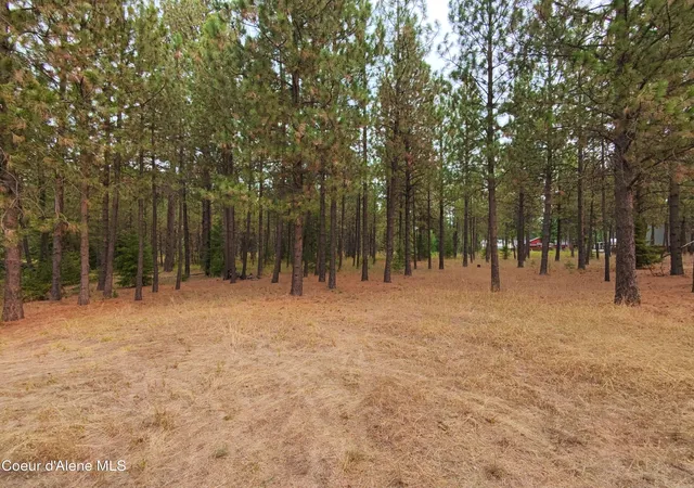 Land for sale at 11th Avenue, Spirit Lake, ID 83869 | MLS# 26-9089