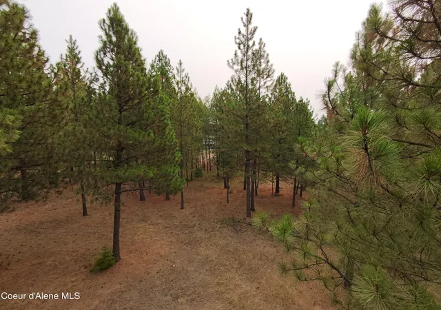 Photo 2 of Land for sale at 11th Avenue, Spirit Lake, ID 83869 | MLS# 26-9089 | Listing updated on 2026-09-03