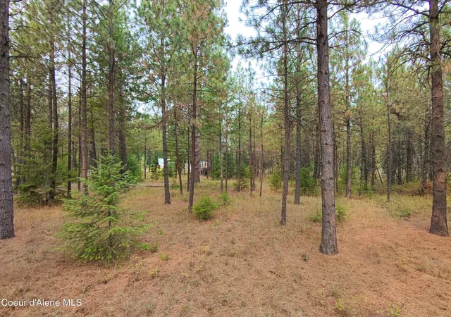 Photo 3 of Land for sale at 11th Avenue, Spirit Lake, ID 83869 | MLS# 26-9089 | Listing updated on 2026-09-03