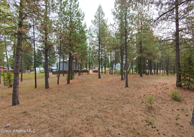 Photo 4 of Land for sale at 11th Avenue, Spirit Lake, ID 83869 | MLS# 26-9089 | Listing updated on 2026-09-03