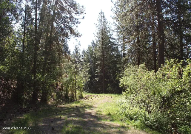 Photo 3 of Land for sale at 881 S Allen Rd, Coeur D Alene, ID 83814 | MLS# 26-9115 | Listing updated on 2026-09-04