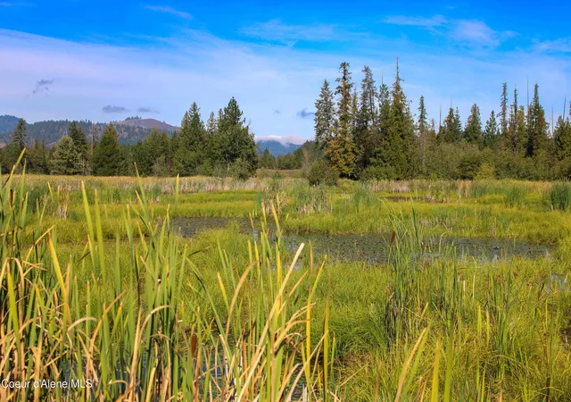 Photo 4 of Single family home for sale at 29 Eastside Rd, Priest River, ID 83856 | MLS# 26-9268 | Listing updated on 2026-09-11