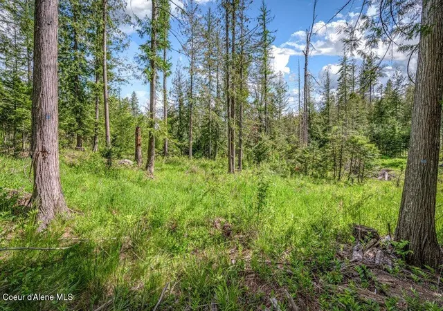 Photo 3 of Land for sale at Nna Oleander Dr Lot 1 & 2, Sandpoint, ID 83864 | MLS# 26-9165 | Listing updated on 2026-09-04