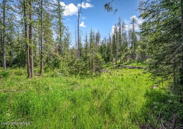 Photo 4 of Land for sale at Nna Oleander Dr Lot 1 & 2, Sandpoint, ID 83864 | MLS# 26-9165 | Listing updated on 2026-09-04