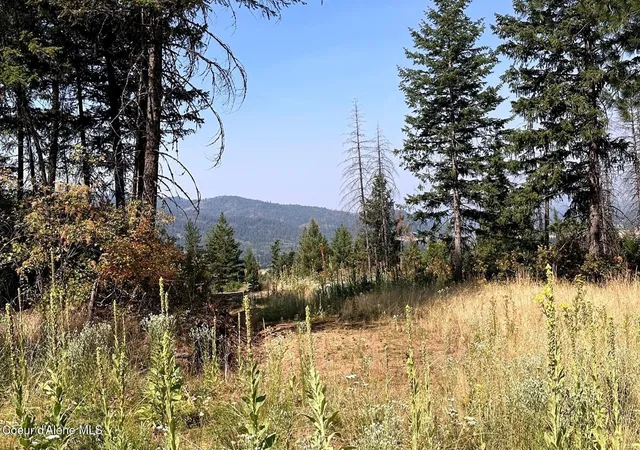 Photo 3 of Land for sale at Lot 1 Stonegate Dr, Priest River, ID 83856 | MLS# 26-9206 | Listing updated on 2026-09-08