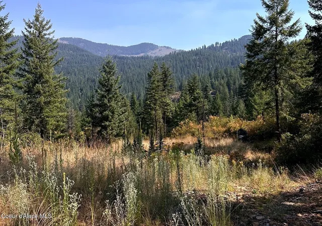 Photo 4 of Land for sale at Lot 1 Stonegate Dr, Priest River, ID 83856 | MLS# 26-9206 | Listing updated on 2026-09-08
