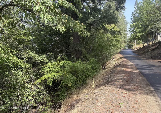 Photo 2 of Land for sale at Nka E Lincoln Ct, Harrison, ID 83833 | MLS# 26-9217 | Listing updated on 2026-09-08