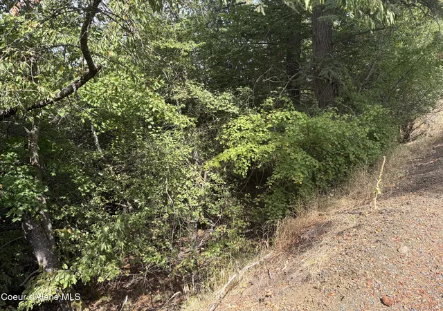 Photo 3 of Land for sale at Nka E Lincoln Ct, Harrison, ID 83833 | MLS# 26-9217 | Listing updated on 2026-09-08