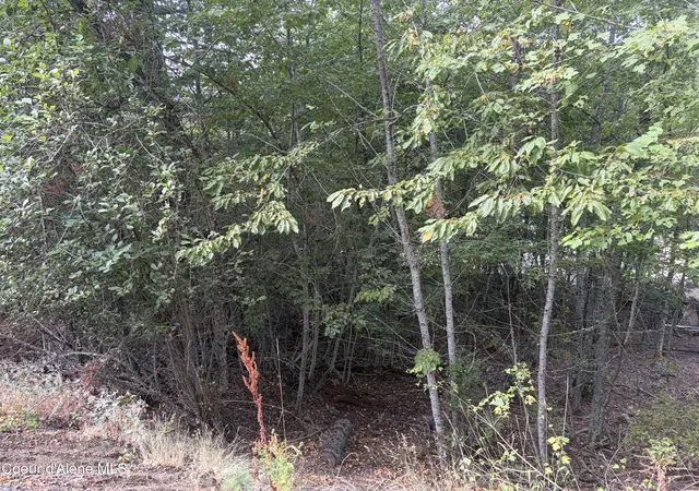 Photo 3 of Land for sale at Nka E Lincoln Ct, Harrison, ID 83833 | MLS# 26-9217 | Listing updated on 2026-09-08