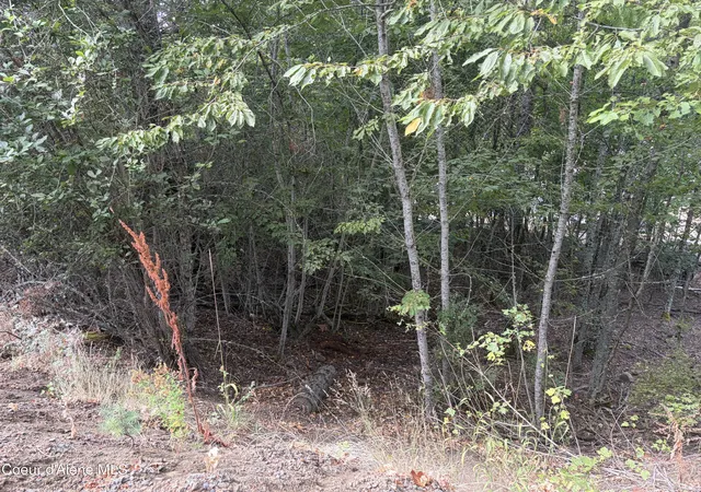 Photo 4 of Land for sale at Nka E Lincoln Ct, Harrison, ID 83833 | MLS# 26-9217 | Listing updated on 2026-09-08