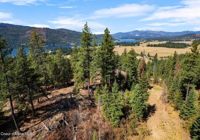 Photo 3 of Land for sale at Lot 3b Moose Mountain Rd, Priest River, ID 83856 | MLS# 26-9237 | Listing updated on 2026-09-12